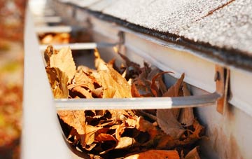 Haslingbourne gutter cleaning companies