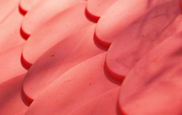 Haslingbourne plastic roof costs