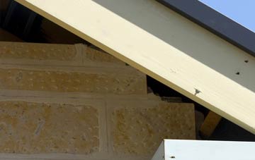 soffit repair Haslingbourne