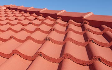 Haslingbourne tile and slate roof replacement