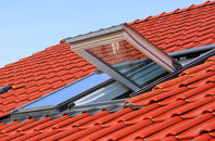 Haslingbourne roof window