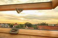 rated Haslingbourne roof window companies