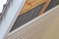 rated Haslingbourne soffit repair companies